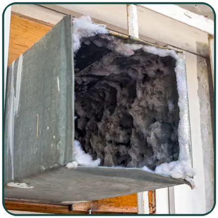 Air Duct Cleaning - Mold Xperts